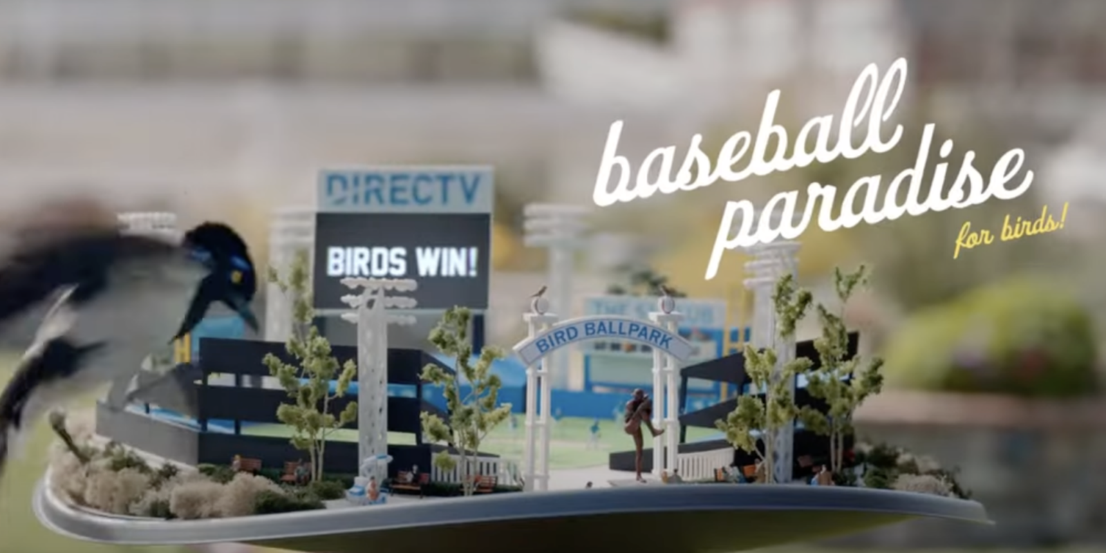 DirecTV Bird Ballpark